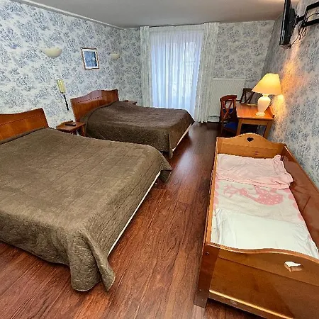 Logis Grand De L'europe